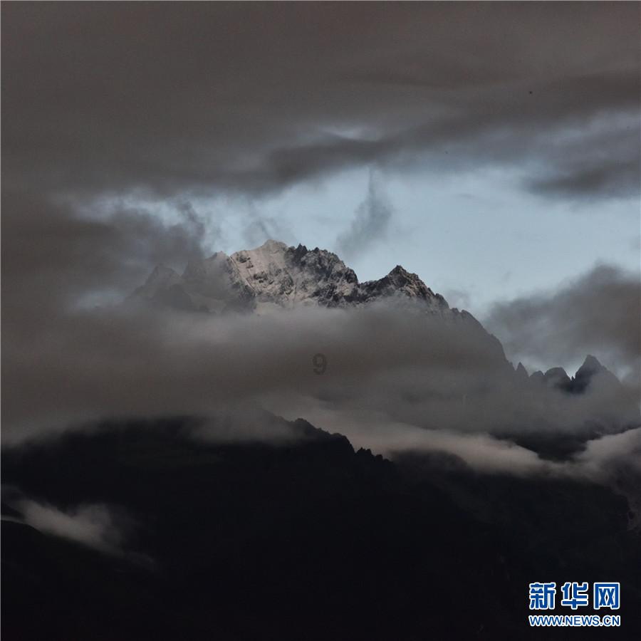 沪江开心词场