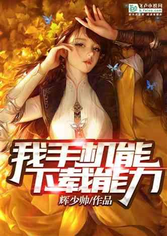辐射4