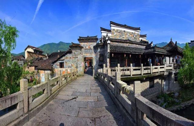 救援鹦鹉